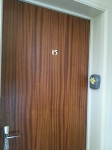 Porte appartement N°15
